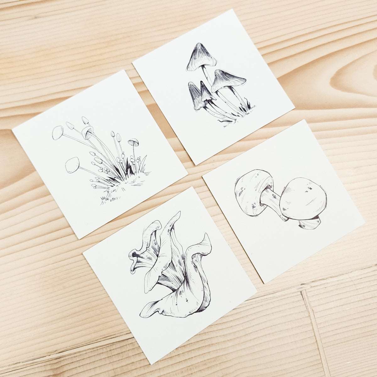 16 MUSHROOMS DRAWING SERIES