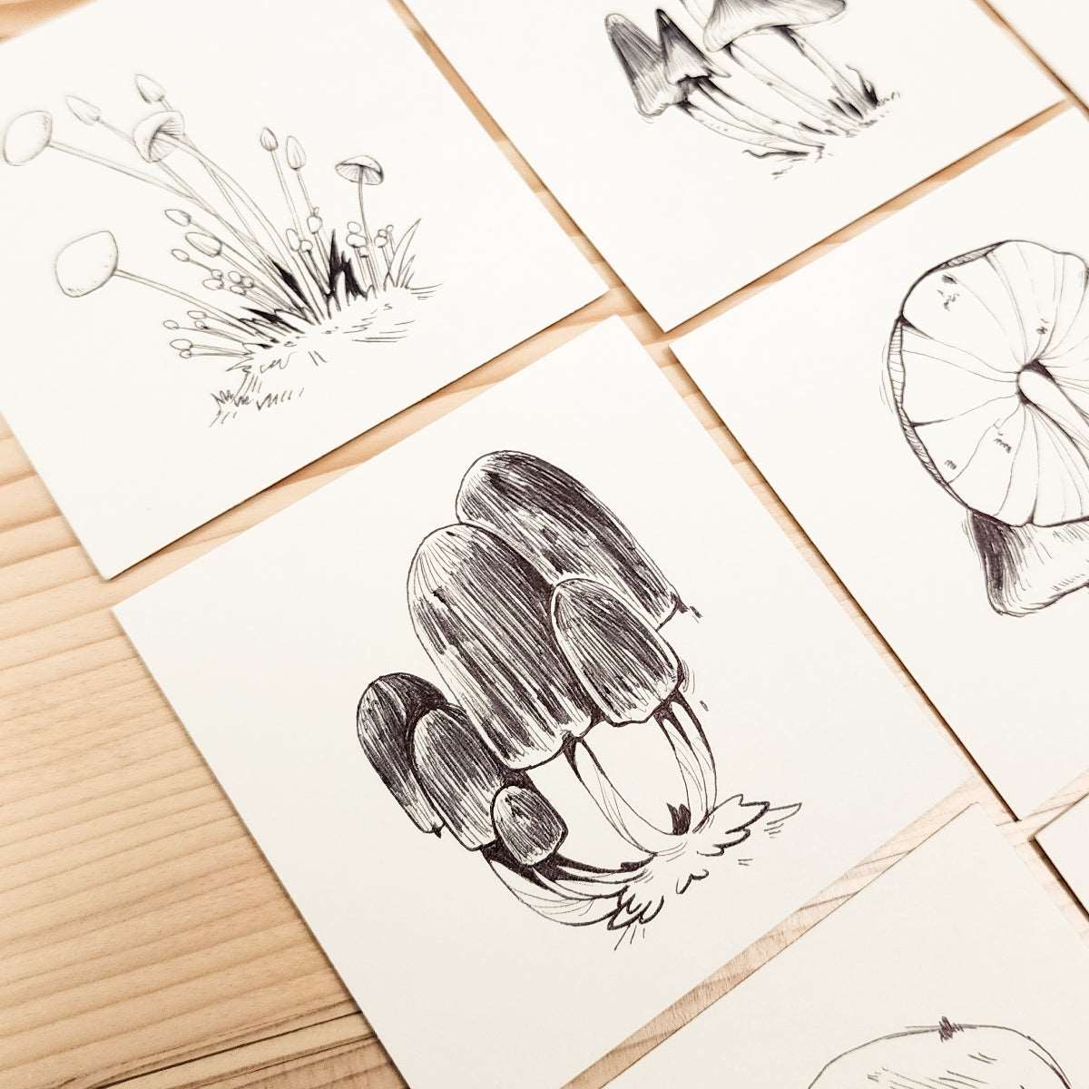 16 MUSHROOMS DRAWING SERIES