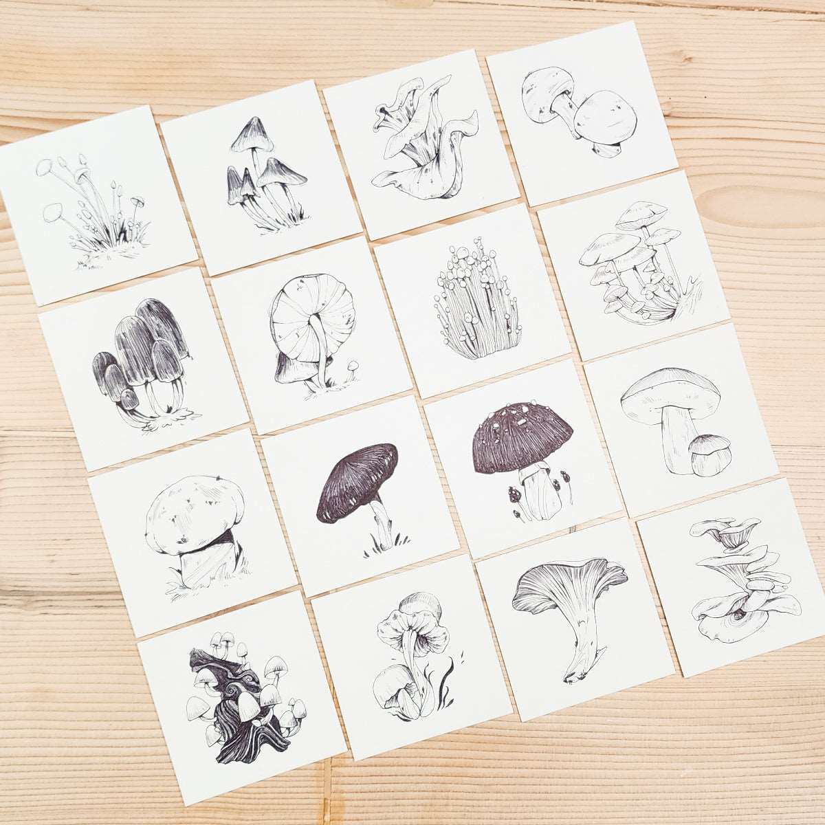16 MUSHROOMS DRAWING SERIES