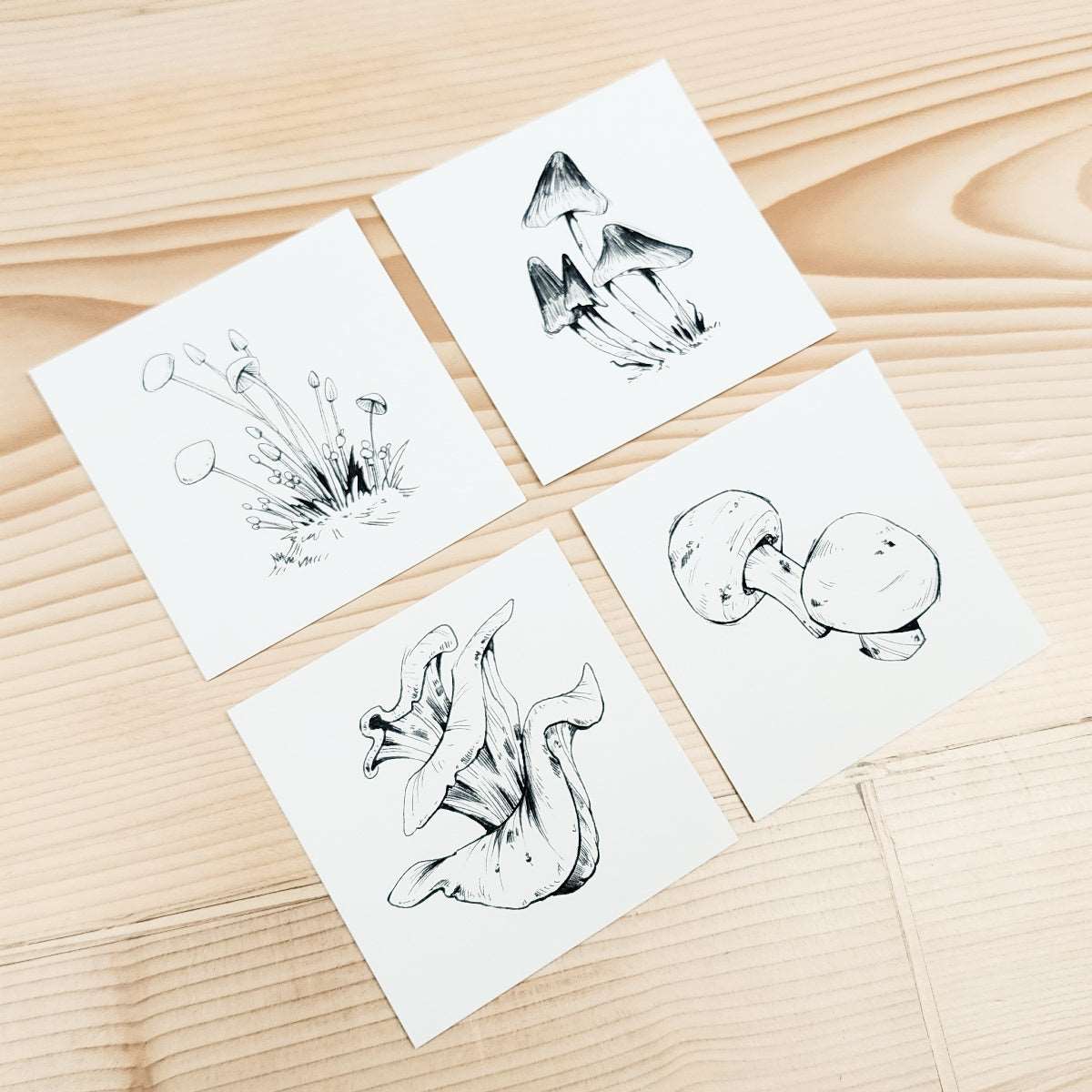 16 MUSHROOMS - TINY DRAWING SERIES PRINT SET