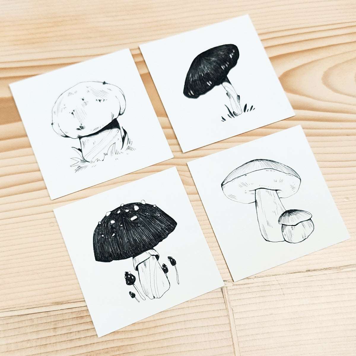16 MUSHROOMS - TINY DRAWING SERIES PRINT SET