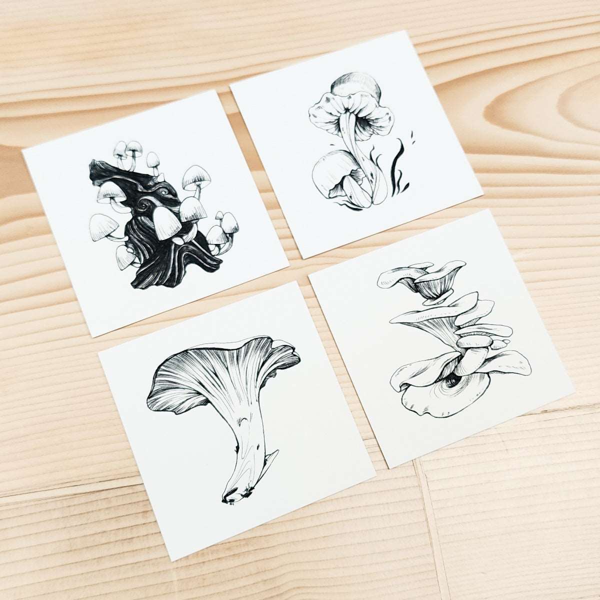 16 MUSHROOMS - TINY DRAWING SERIES PRINT SET