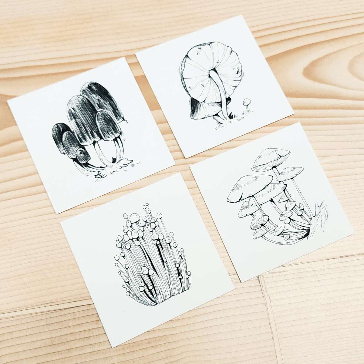 16 MUSHROOMS - TINY DRAWING SERIES PRINT SET