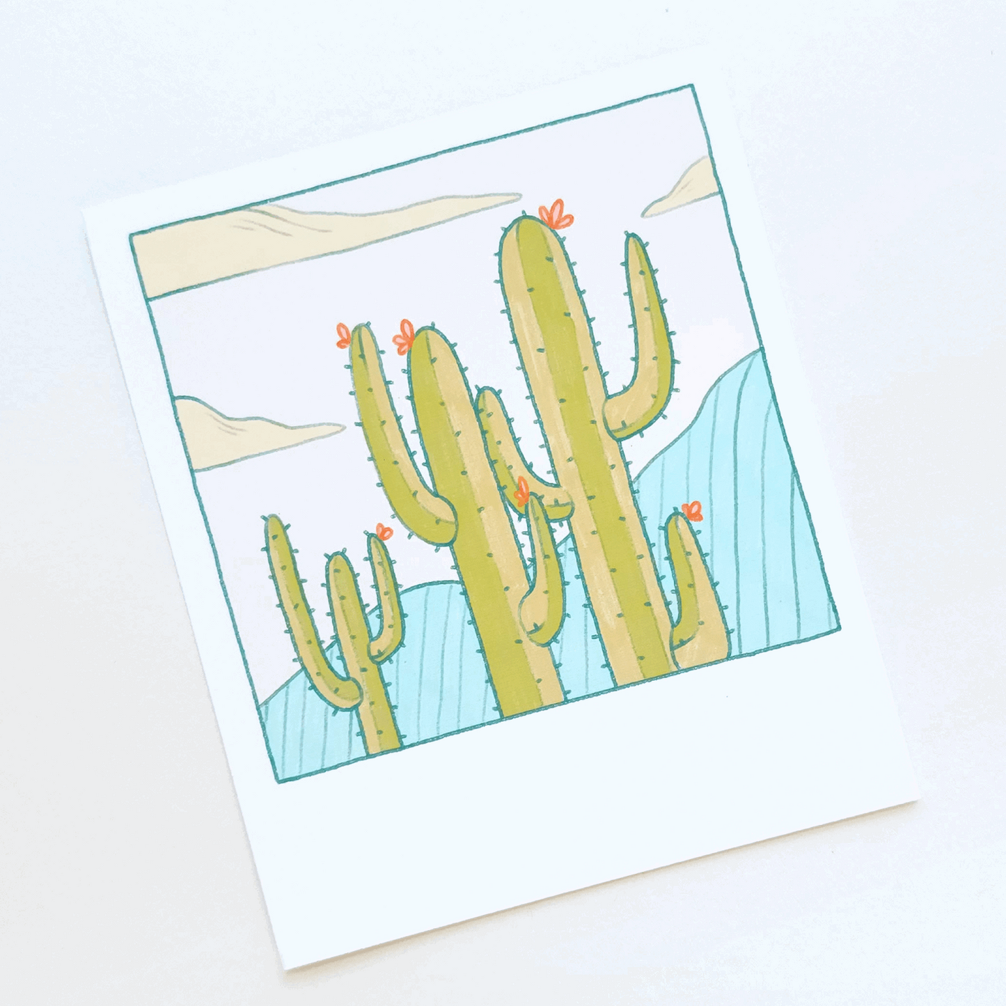CACTUS 1 POLAROID PRINT