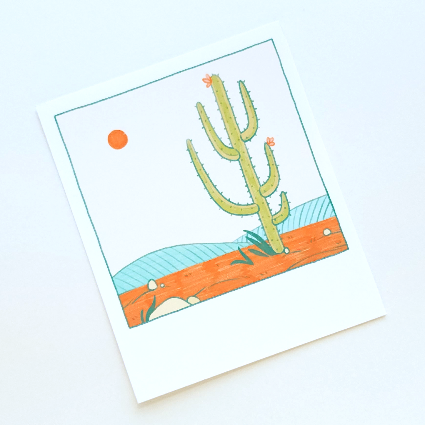 CACTUS 2 POLAROID PRINT