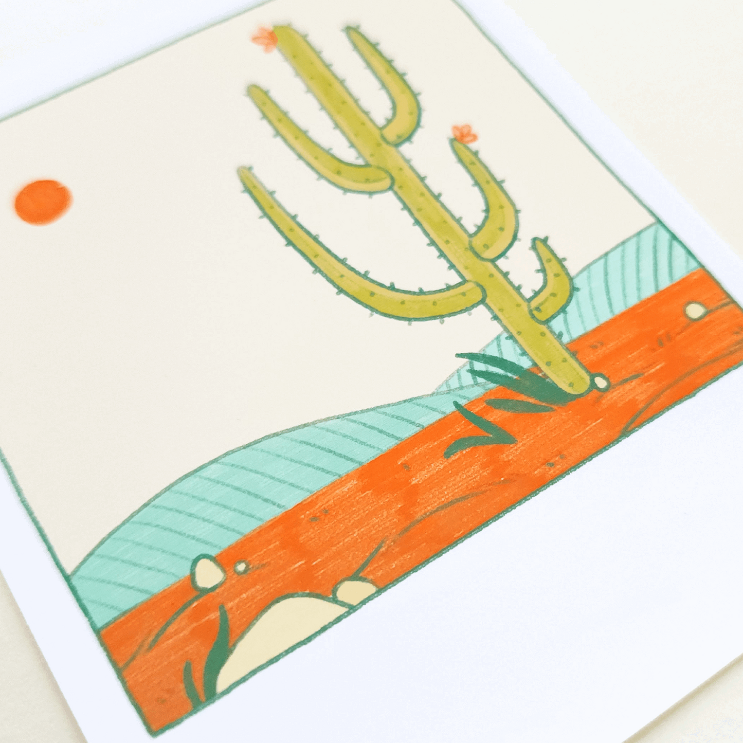 CACTUS 2 POLAROID PRINT