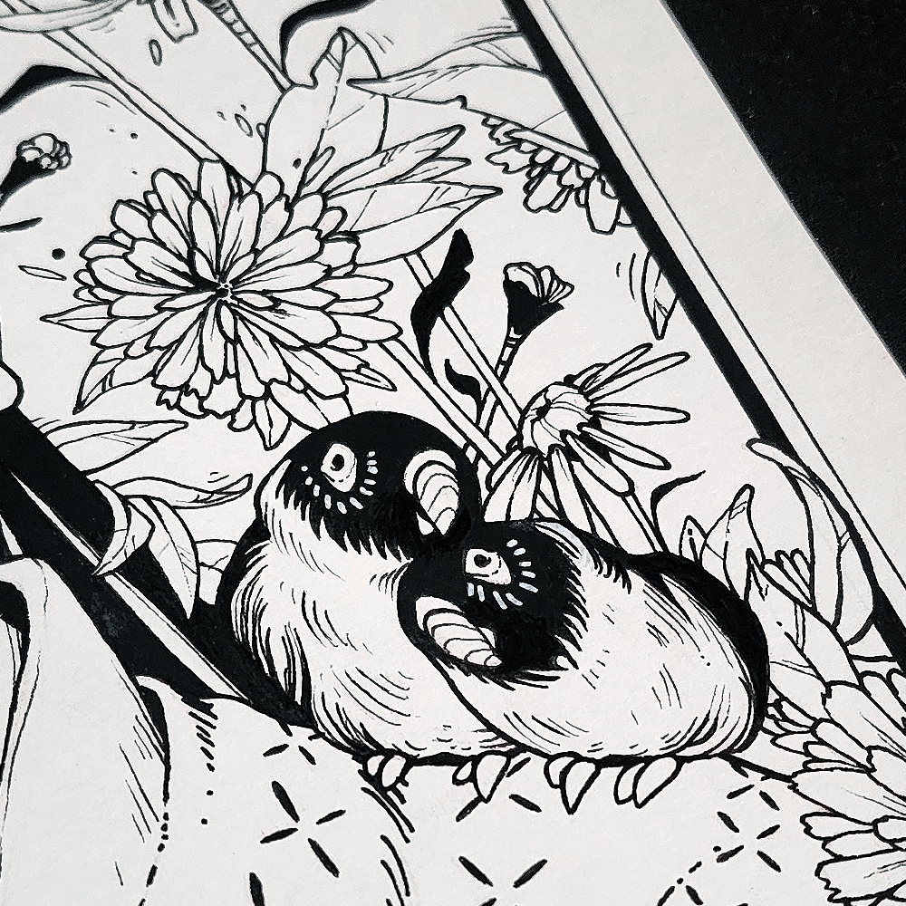 DANDELIONS AND DAISIES