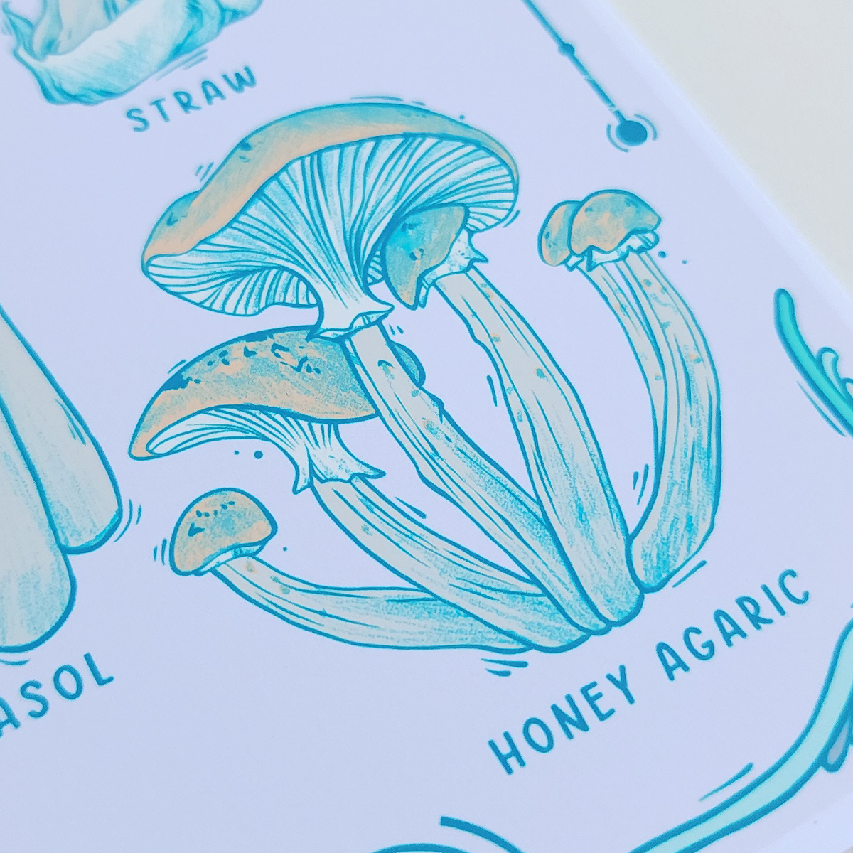 EDIBLE FUNGI VOL 2 PRINT