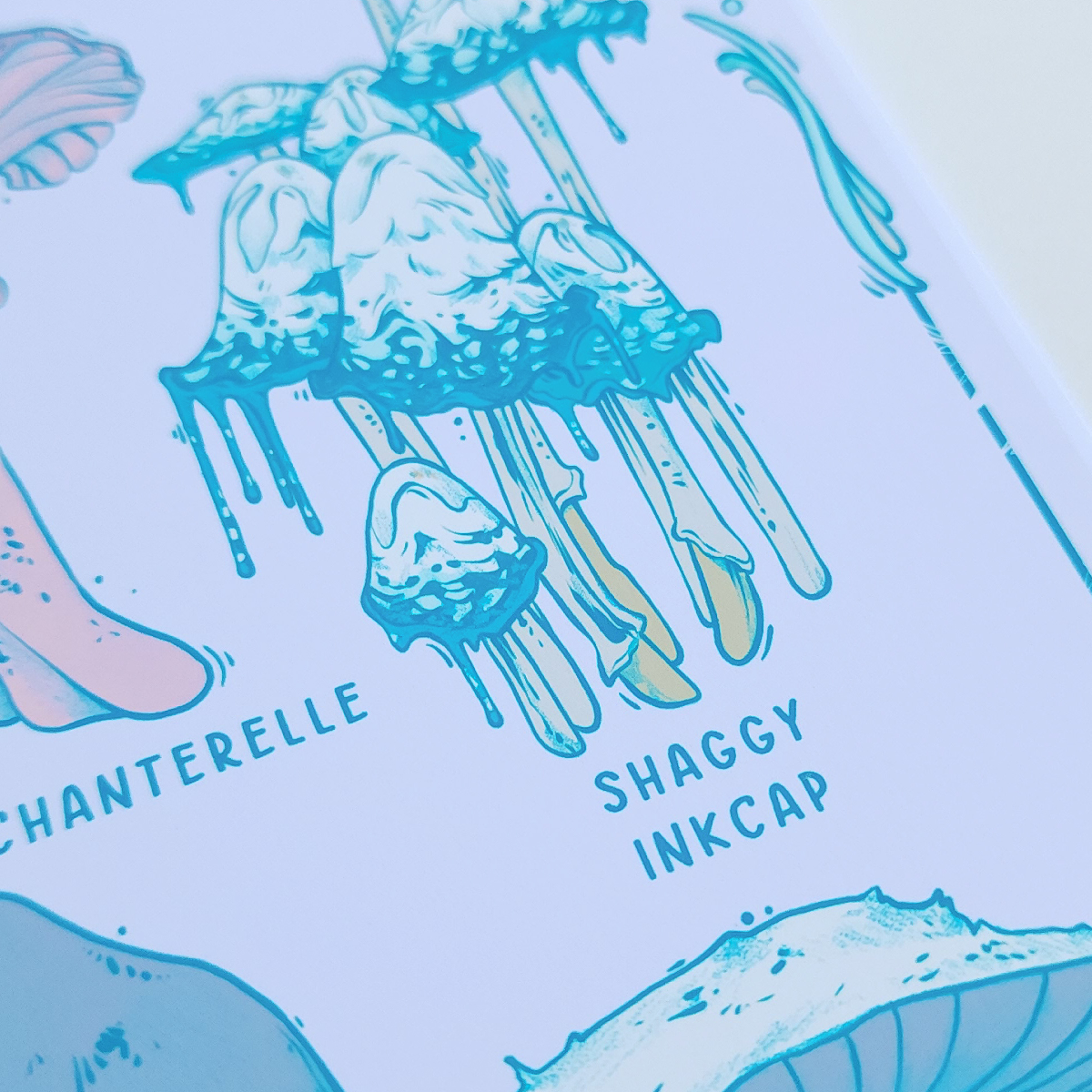 EDIBLE FUNGI VOL 3 PRINT