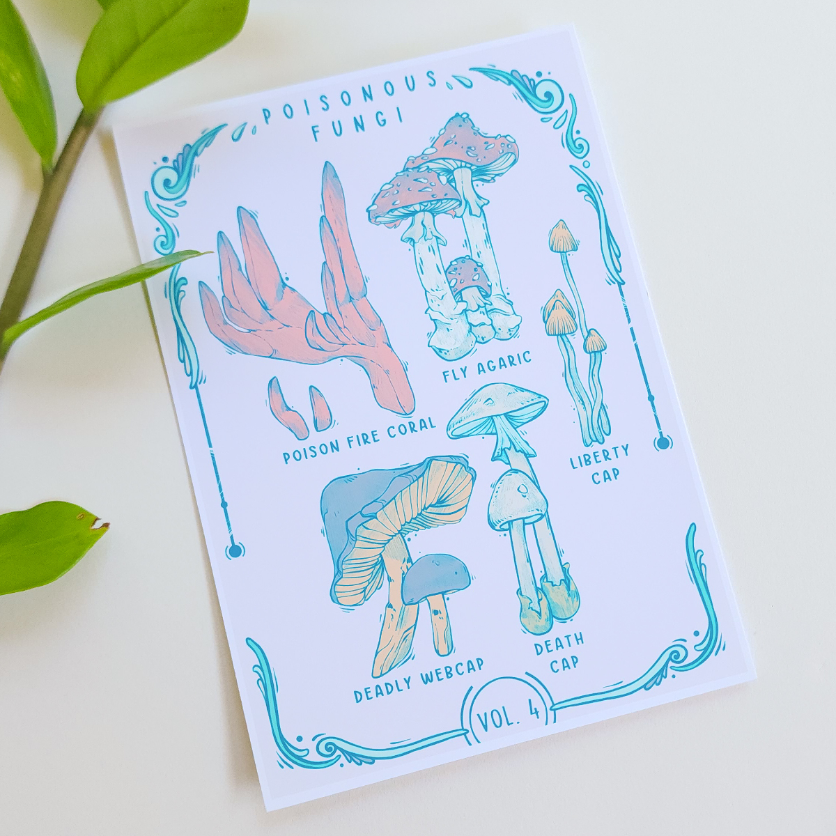 ✦ Fungi Classification Mini Print Set ✦