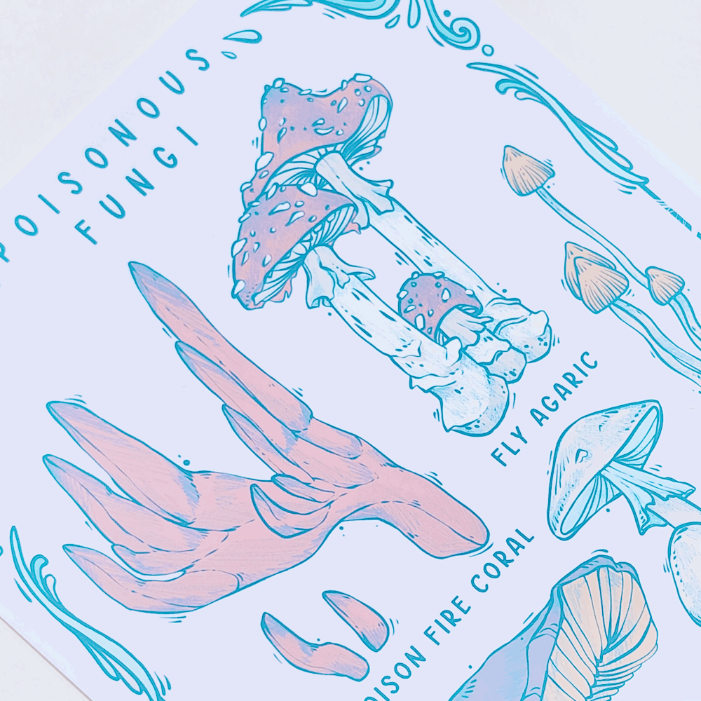 POISONOUS FUNGI VOL 4 PRINT