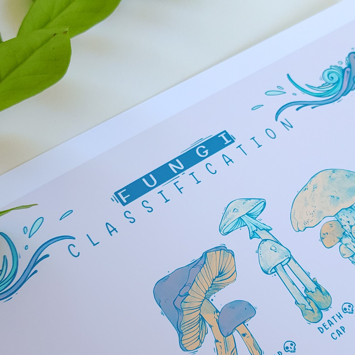 FUNGI CLASSIFICATION PRINT