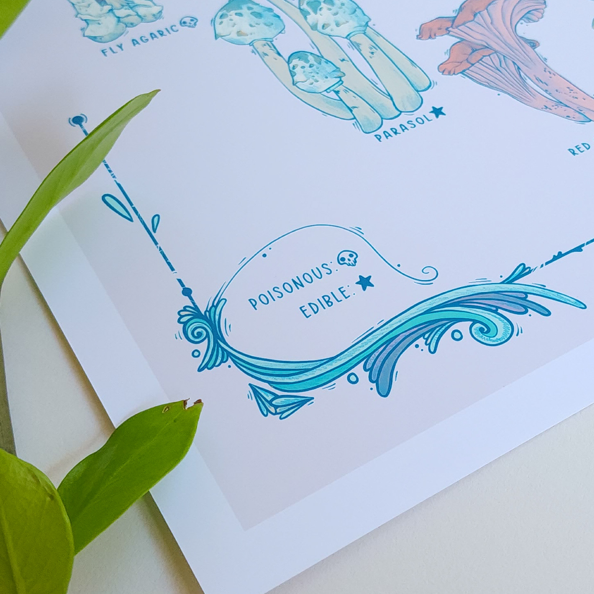FUNGI CLASSIFICATION PRINT