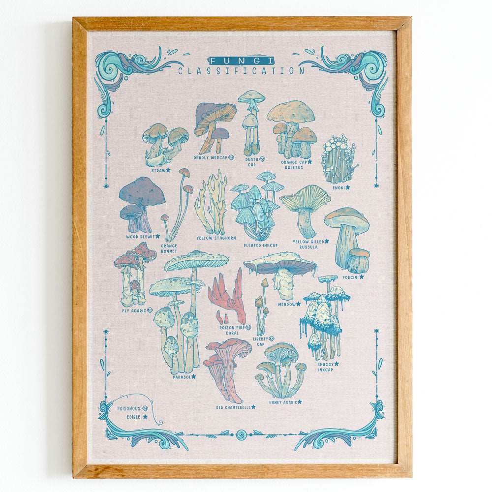 FUNGI CLASSIFICATION PRINT
