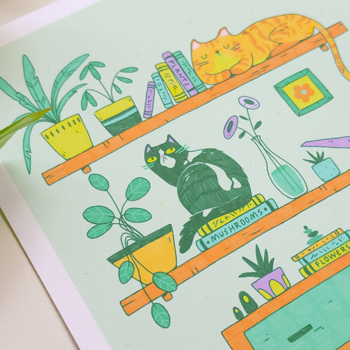 CATS ON SHELVES PRINT