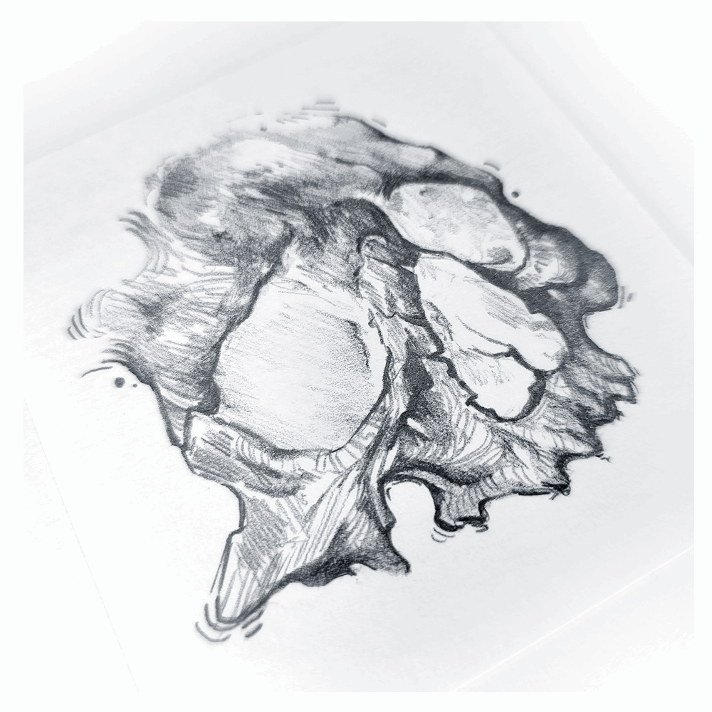 TINY SKULL 01