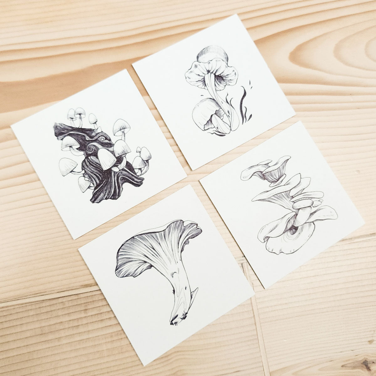 16 MUSHROOMS DRAWING SERIES