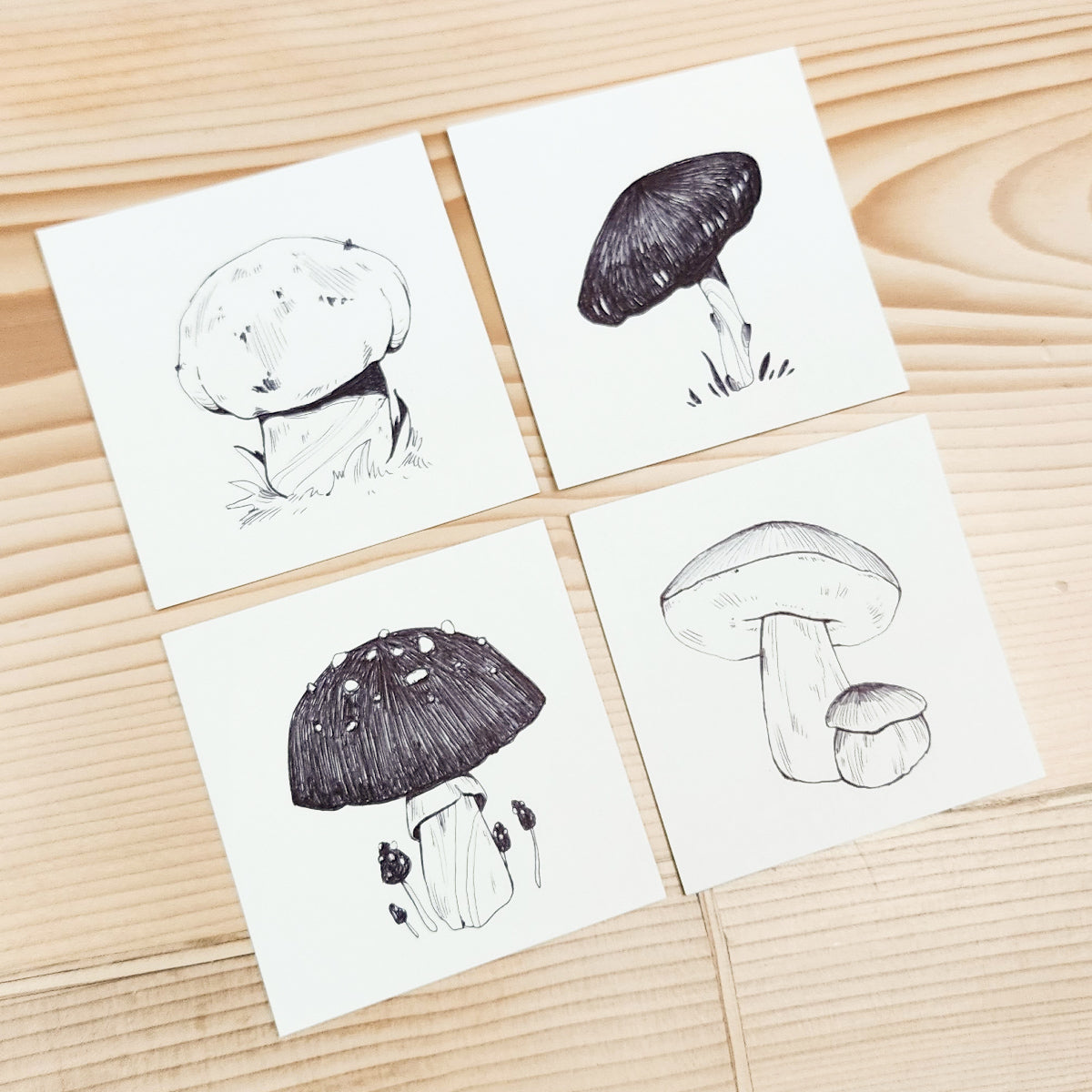 16 MUSHROOMS DRAWING SERIES