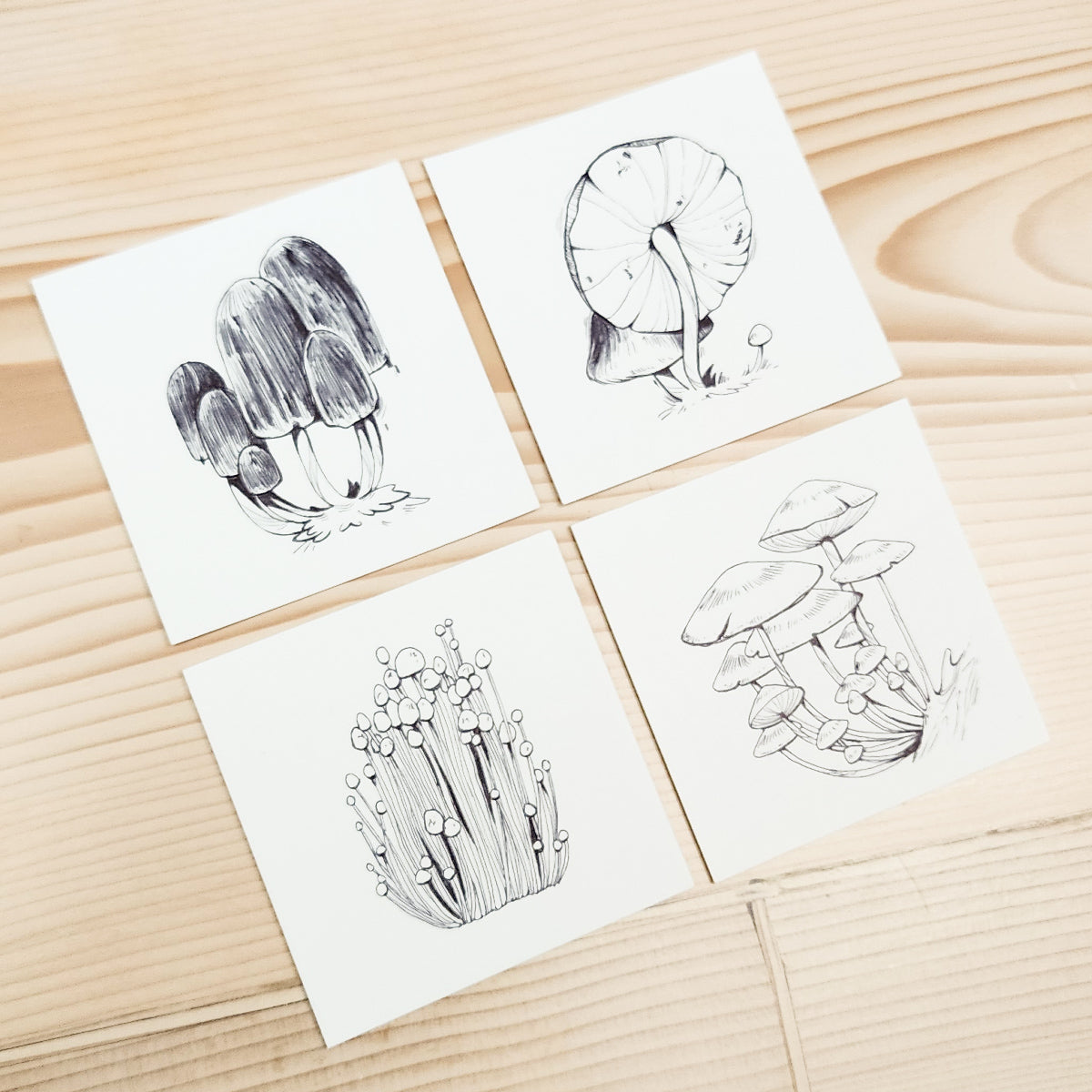 16 MUSHROOMS DRAWING SERIES