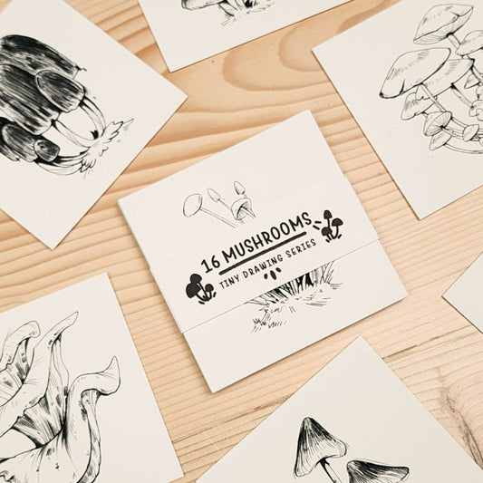 16 MUSHROOMS - TINY DRAWING SERIES PRINT SET