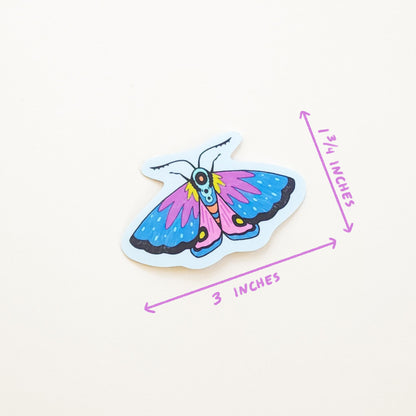 COLORFUL MOTH STICKER