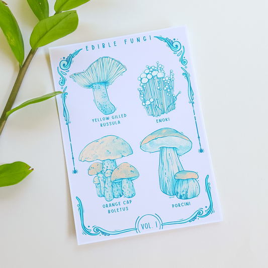 EDIBLE FUNGI VOL 1 PRINT