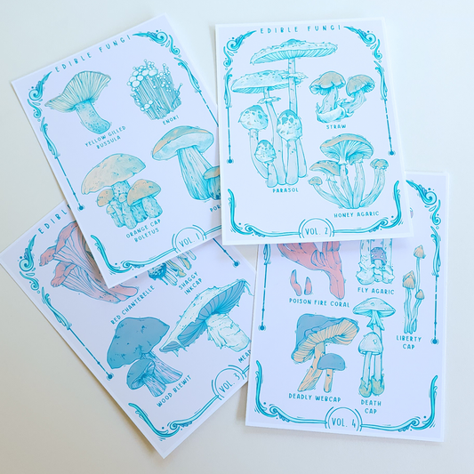 ✦ Fungi Classification Mini Print Set ✦