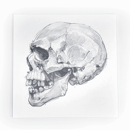 SKULL PROFILE VIEW